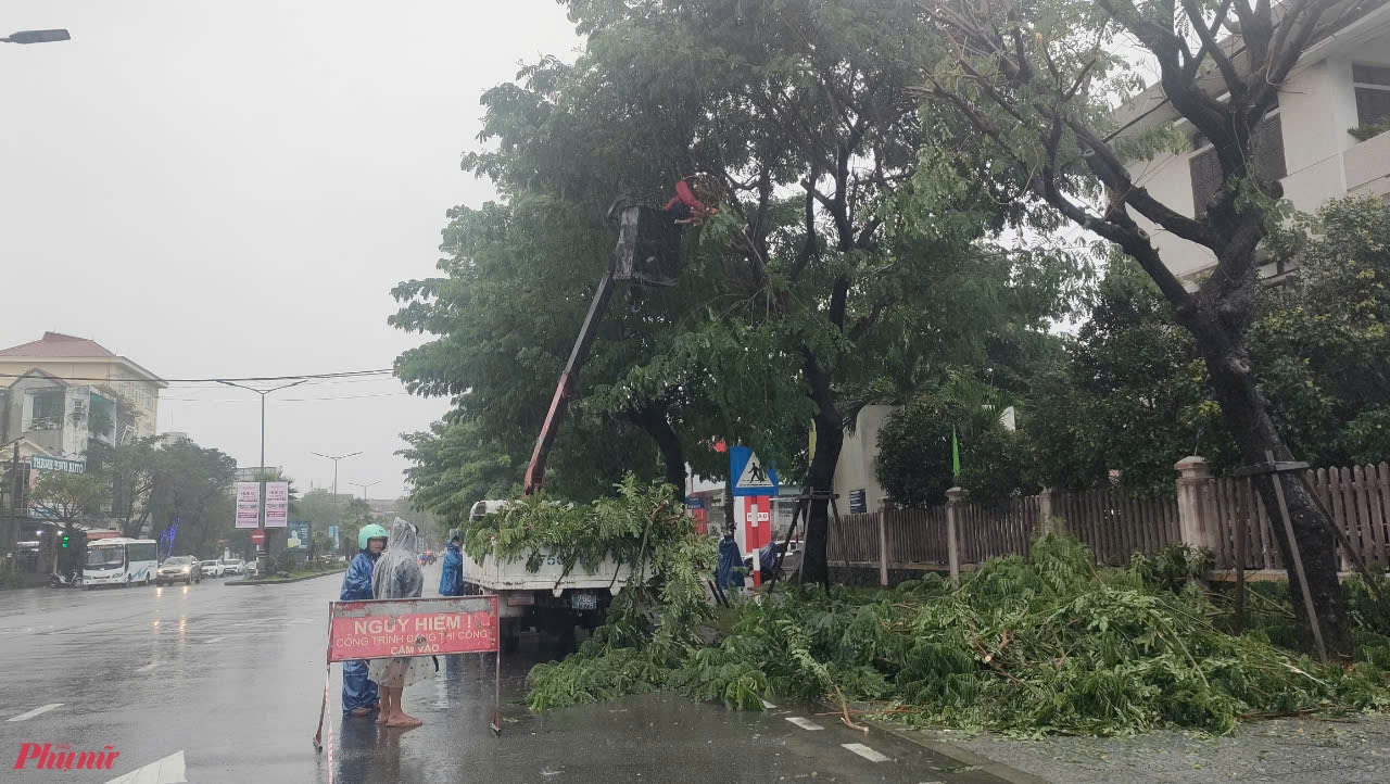 Công ty công viên cây xanh TP Huế tiếp tục thực hiện cắt tỉa cành cây ở đường Đống Đa TP Huế