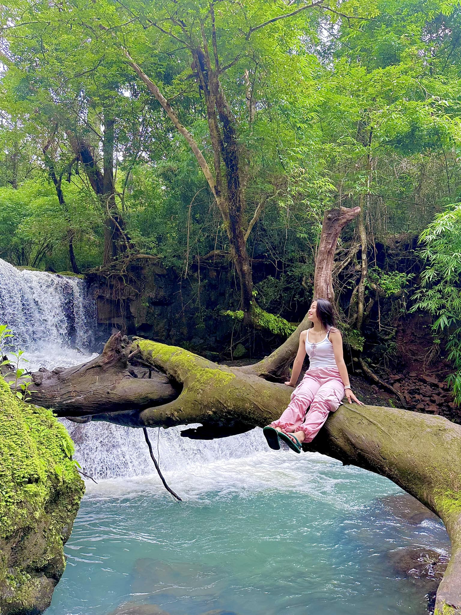 Hoạt động thu hút sự chú ý của nhiều bạn nhất khi đến Bù Gia Mập là trekking băng qua những cánh rừng nguyên sinh hoang sơ và rậm rạp hay những con suối trong vắt, mát lạnh. Cùng với hoạt động Trekking núi Bà Rá nổi tiếng, trải nghiệm đi bộ trong địa hình suối đá tại Bù Gia Mập thu hút sự quan tâm của nhiều tín đồ xê dịch khi đặt chân đến Bình Phước. Việc du lịch theo kiểu khám phá sẽ giúp bạn nâng cao thể lực cũng như giải toả mọi ưu phiền, mệt nhoài để hoà nhập hoàn toàn với thiên nhiên.  Bên cạnh đó, nếu bạn yêu thích du lịch nghỉ dưỡng khi review Bù Gia Mập thì có thể trải nghiệm cắm trại bên bờ suối thơ mộng trong khu rừng già bao la. Không thể bỏ qua khi đến Bù Gia Mập là hoạt động check-in tại thác Lưu Ly với làn nước xanh biếc giữa đại ngàn. Đây là nơi bạn có thể lắng nghe thanh âm vang vọng của núi rừng, tiếng chim líu lo và tiếng suối rì rào - Ảnh: Nhã Nguyễn