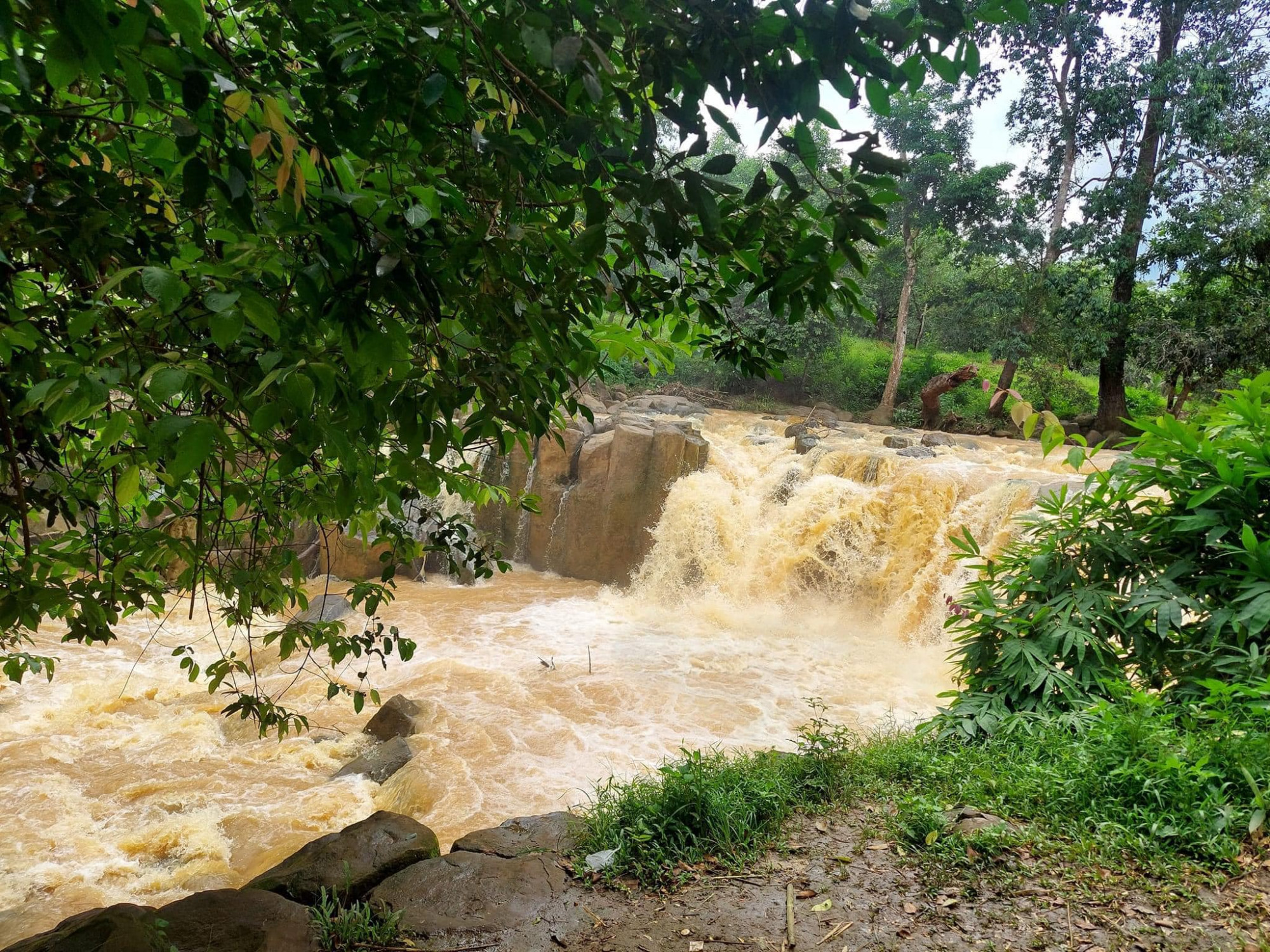 Điểm nhấn đáng chú ý của dòng thác chính là những hòn đá cao xếp chồng lên nhau giữa núi rừng bạt ngàn tạo thành một bức tranh thủy mặc đáng giá mà thiên nhiên ban tặng. Dưới sự bào mòn của sức nước và sự sắp xếp của tự nhiên, những hòn đá quanh khu vực này thường có hình khối lục lăng hoặc hình hộp chữ nhật. Review Thác Đứng, mảnh nhiên nhiên hùng vĩ giữa núi rừng 3 Toàn cảnh Thác Đứng như một bức tranh thủy mặc với những lớp đá lục lăng và hình hộp xếp chồng lên nhau Điểm xuyến bên bờ Thác Đứng là những thảm cỏ xanh mướt nằm yên bình dưới những tán cây cổ thụ rợp bóng. Thấp thoáng là điểm xuyến những bông hoa lan xen lẫn những đóa hoa dại như tô điểm thêm cho thanh âm của núi rừng. Review Thác Đứng, mảnh nhiên nhiên hùng vĩ giữa núi rừng 4 Điểm xuyến hai bờ Thác Đứng là thảm thực vật xanh mướt tạo cảm giác hòa mình với thiên nhiên. Ảnh: Cổng TTĐT Bình Phước Review Thác Đứng vào những ngày mùa khô yên ả, ta có thể thư giãn ngâm mình trong dòng nước suối mát lành, tận hưởng cảm giác thanh bình mà thiên nhiên mang lại, xóa hết đi những mệt nhọc mà cuộc sống thường nhật mang lại. - Ảnh: Review Bù Đăng