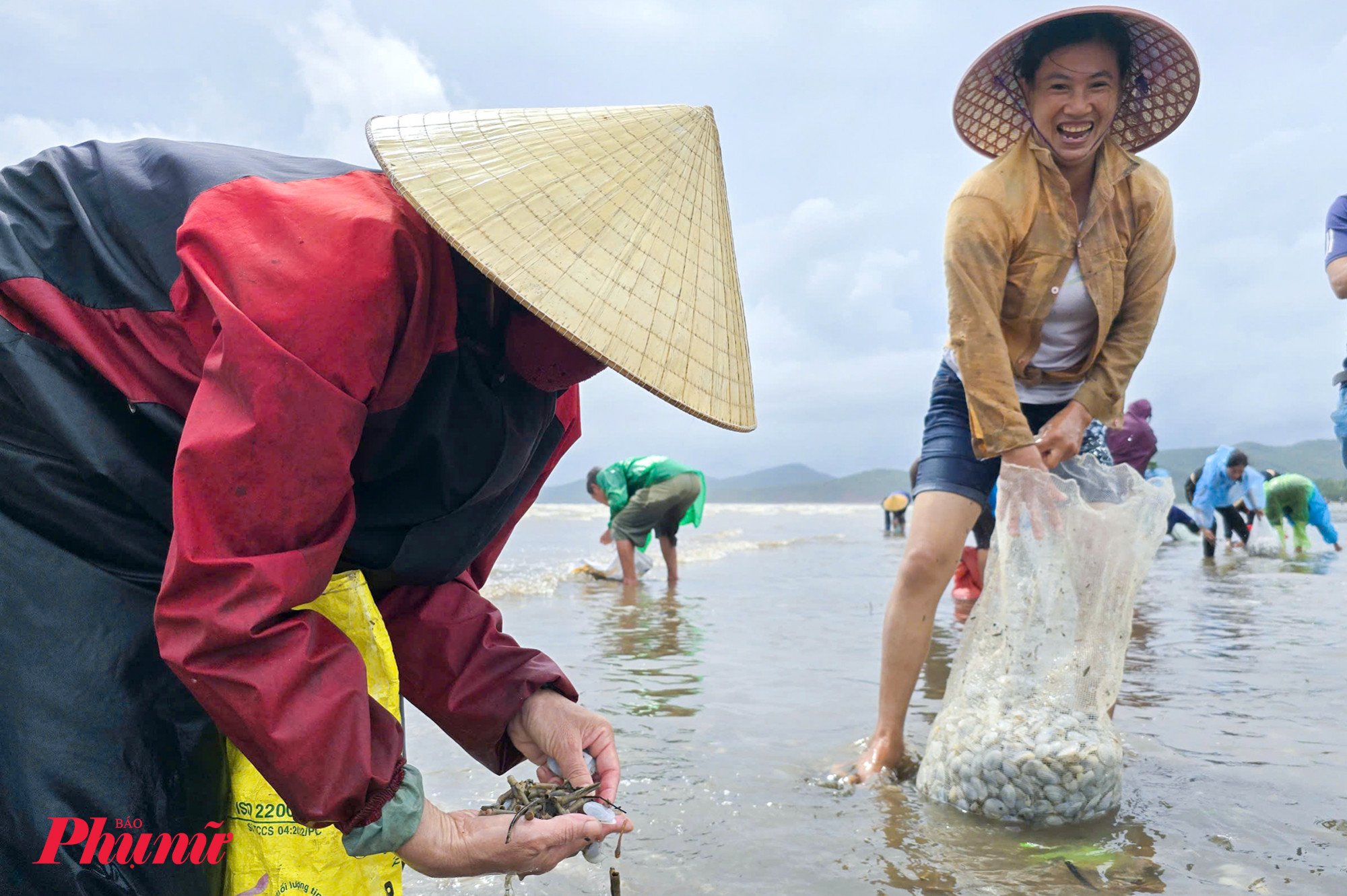 Theo bà Bình, hiện tượng ngao lông dạt vào bờ xuất hiện từ sáng sớm 20/9. Chỉ sau hơn 2 giờ nhặt ngao ở bãi biển, bà Bình và con gái đã thu được hơn 50kg.