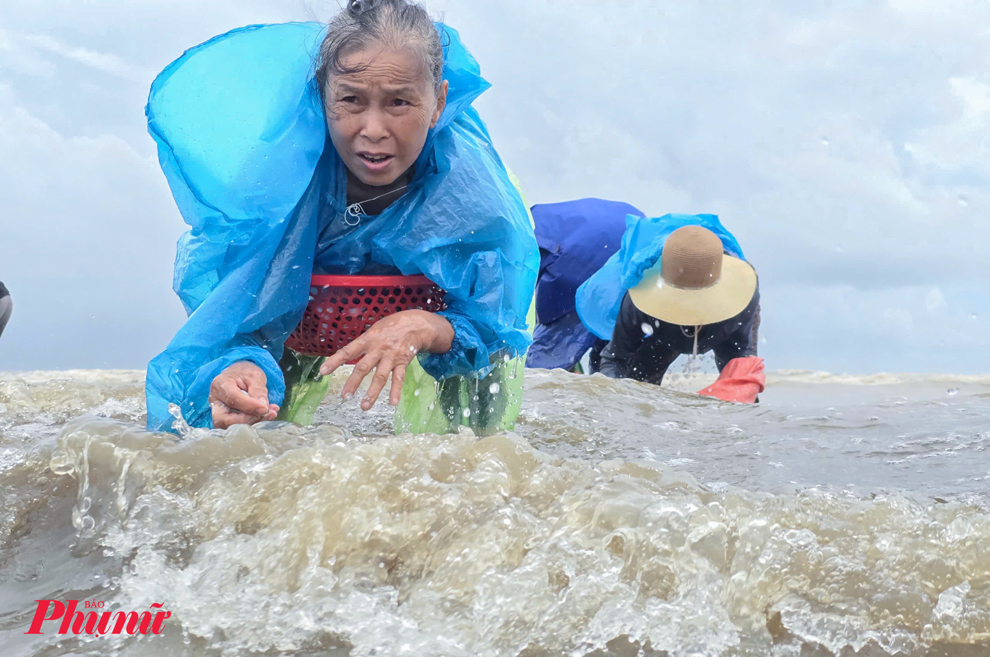 Nghe tin ngao nằm la liệt trên bãi biển, dù trời mưa nhưng hàng ngàn người dân vẫn mặc áo mưa, kéo ra bãi biển cùng nhặt ngao.