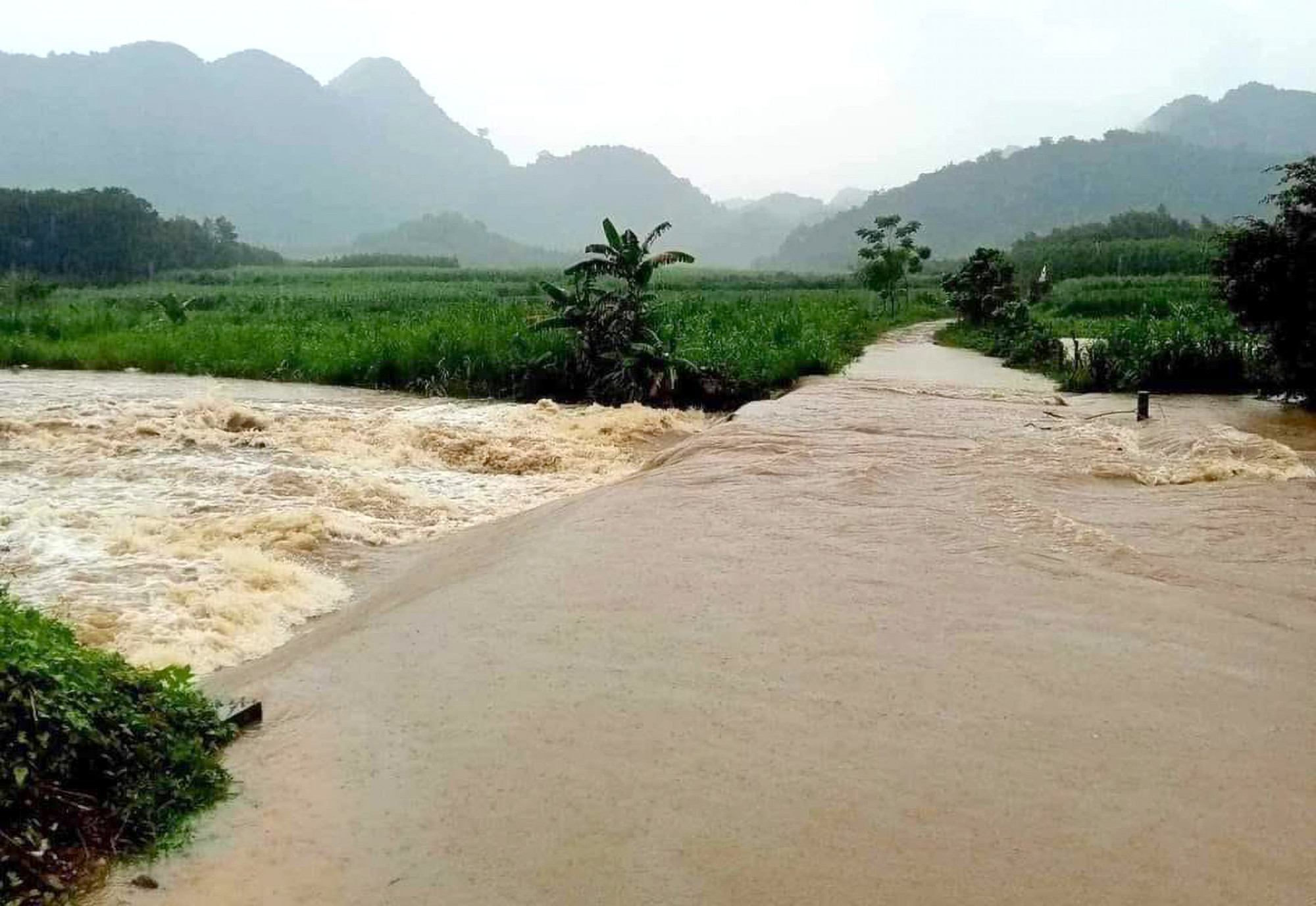 Mưa lớn do ảnh hưởng của hoàn lưu bão số 4 những ngày qua khiến nhiều nơi ở Nghệ An bị ngập - Ảnh: Hoàng Long