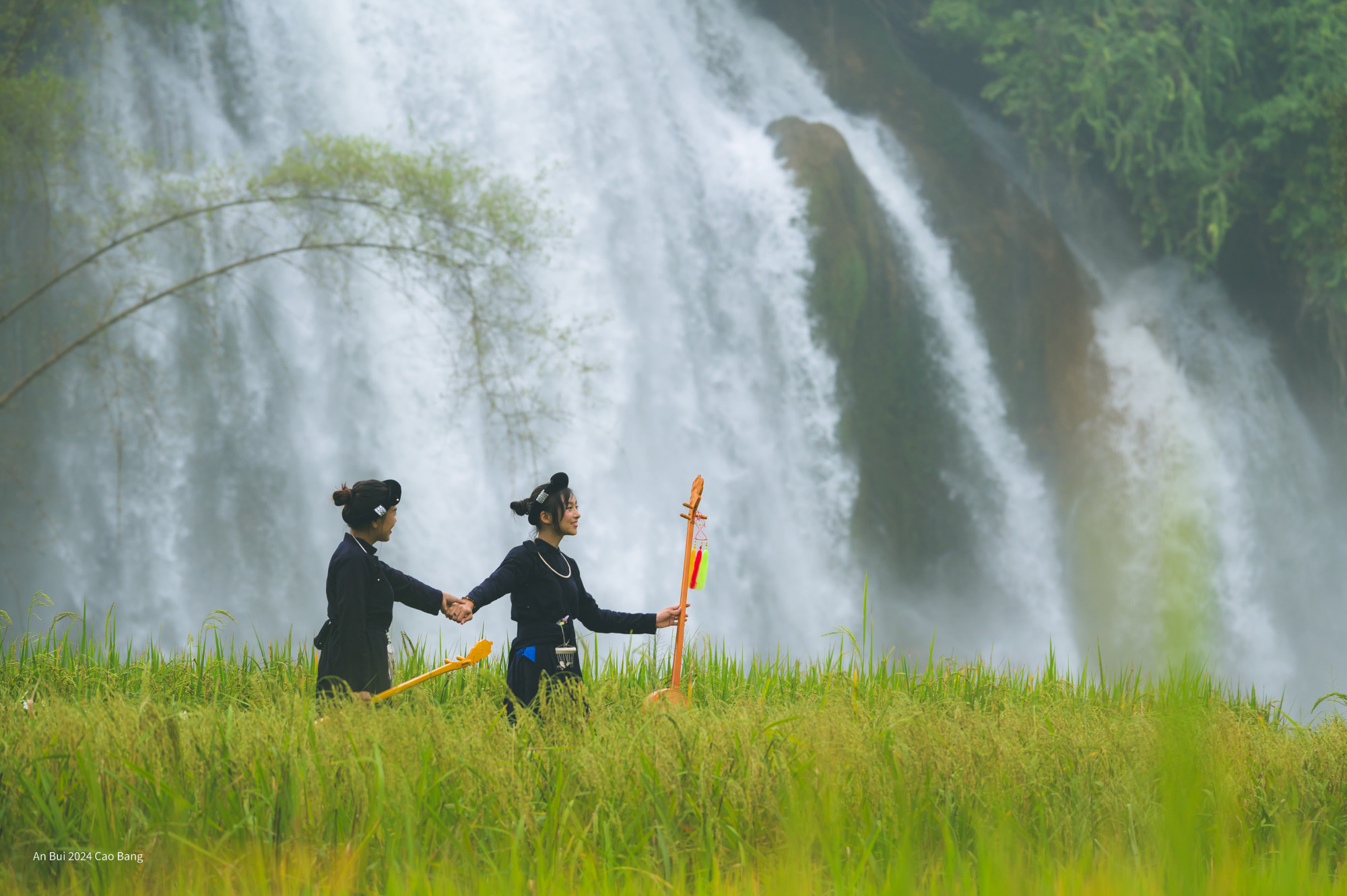 Mùa lúa chín vàng ở Trùng Khánh, Cao Bằng, vẽ nên một bức tranh thiên nhiên đẹp như mơ. Những cánh đồng lúa trải dài, vàng rực trong ánh nắng, tạo nên một khung cảnh thanh bình và nên thơ. Nằm ở vùng núi phía Bắc, Trùng Khánh mang trong mình sự quyến rũ riêng, không chỉ bởi địa hình đồi núi trùng lặp mà còn nhờ vào vẻ đẹp mộc mạc, giản dị của những cánh đồng lúa trong mùa thu\