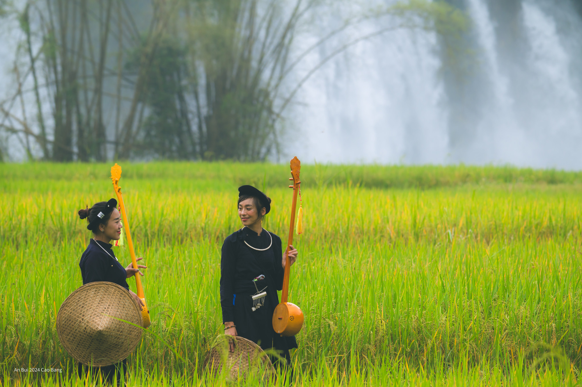 Giữa bức tranh ấy, hình ảnh các cô gái Tày càng làm phong cảnh trở nên sống động và mang dấu ấn văn hóa dân tộc. Những cô gái trong trang phục truyền thống, váy xòe màu sắc, nhẹ nhàng lang thang trên cánh đồng, tạo nên sự thiết lập tinh tế với màu vàng rực của lúa chín. Điều đặc biệt là họ mang theo cây đàn tính – một nhạc cụ truyền thống của dân tộc T