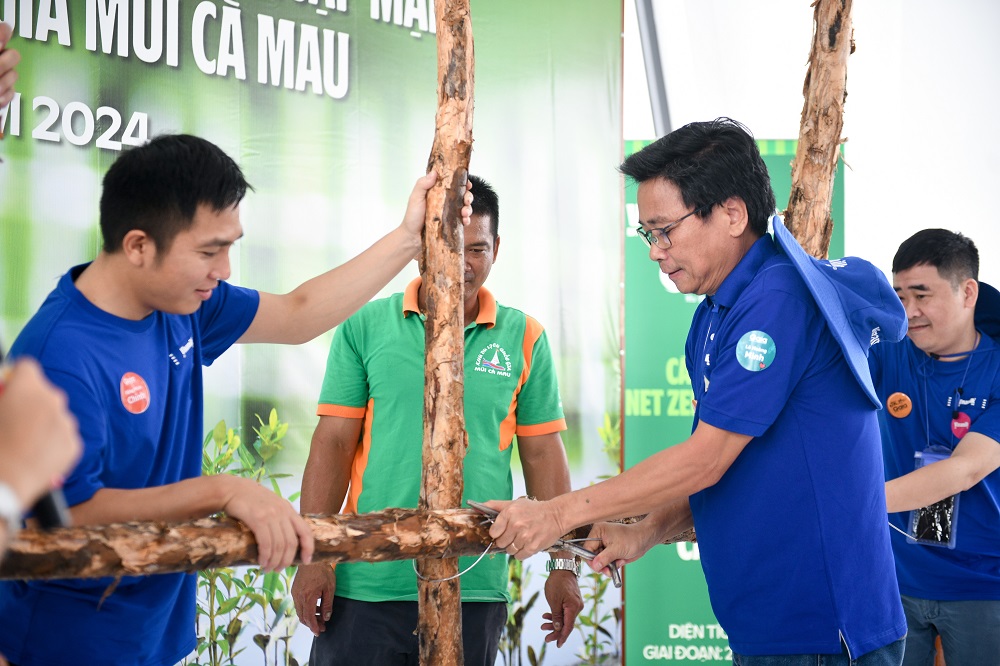 Ông Lê Hoàng Minh - Giám đốc điều hành sản xuất kiêm Trưởng dự án Net Zero Vinamilk thực hiện mẫu thao tác buộc thép các cọc cừ tràm để làm hàng rào khoanh nuôi - Ảnh: VNM