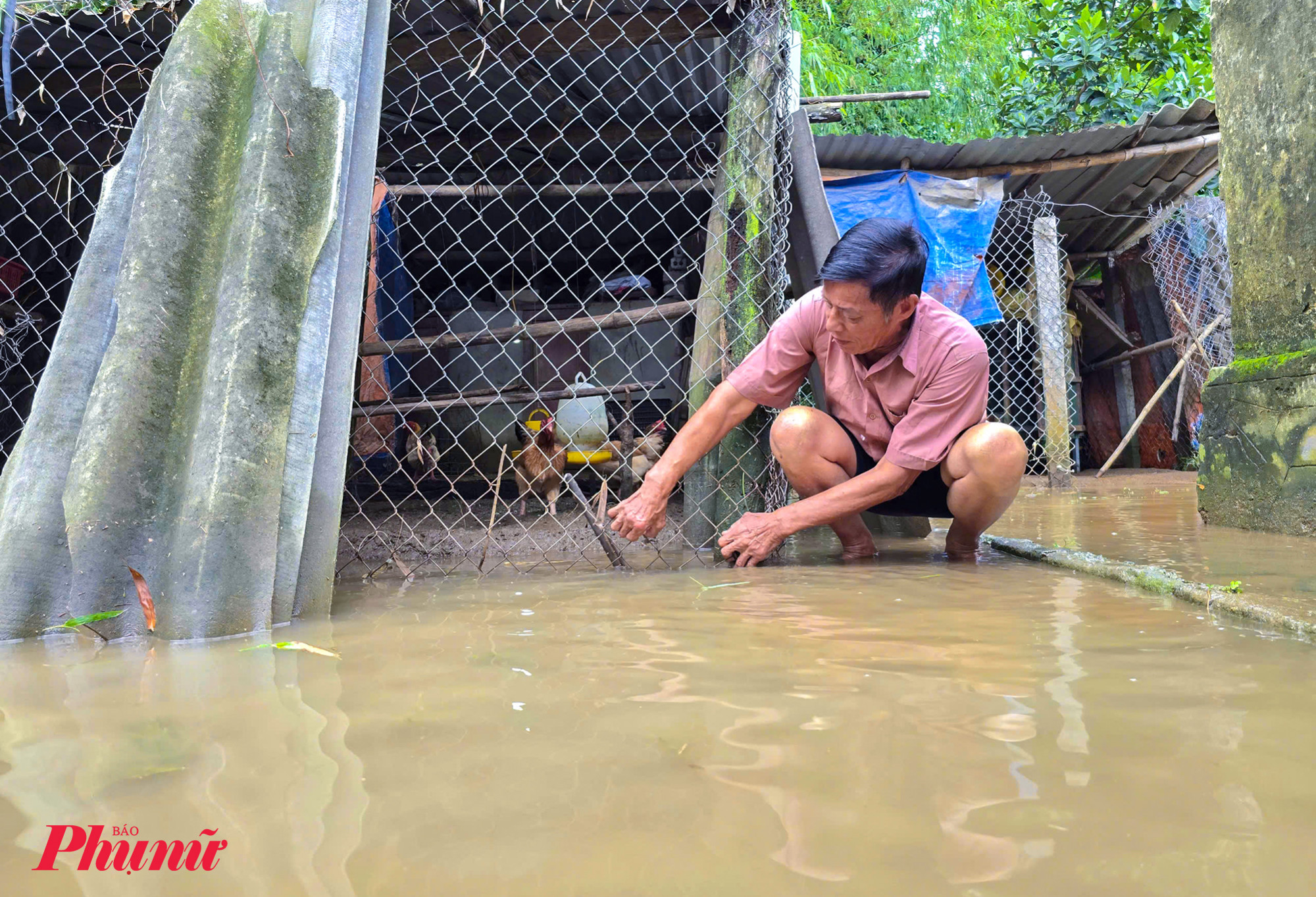 “Lo nhất là gia cầm và gia súc. Khi mưa lớn, chúng tôi phải canh chừng nước lên để kịp đưa lên đê tránh lũ” - ông Đậu Văn Thanh (75 tuổi) nói.