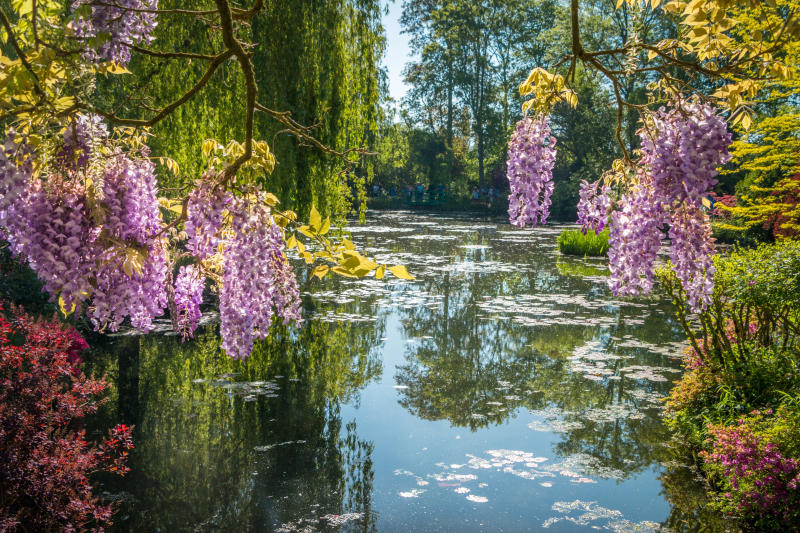 Mỗi một mùa, làng Giverny lại khoác lên mình một tấm áo mới. Vào mùa thu (tháng 9 đến tháng 11), khung cảnh Giverny khoác lên tấm áo vàng đỏ lãng mạn, thích hợp cho những ai yêu thích vẻ đẹp hoài cổ.  Đây là khoảng thời gian hoa lá đua nở rực rỡ nhất, đặc biệt là hoa súng - loài hoa biểu tượng của Giverny, đồng thời gắn liền với những bức họa trứ danh của Monet.