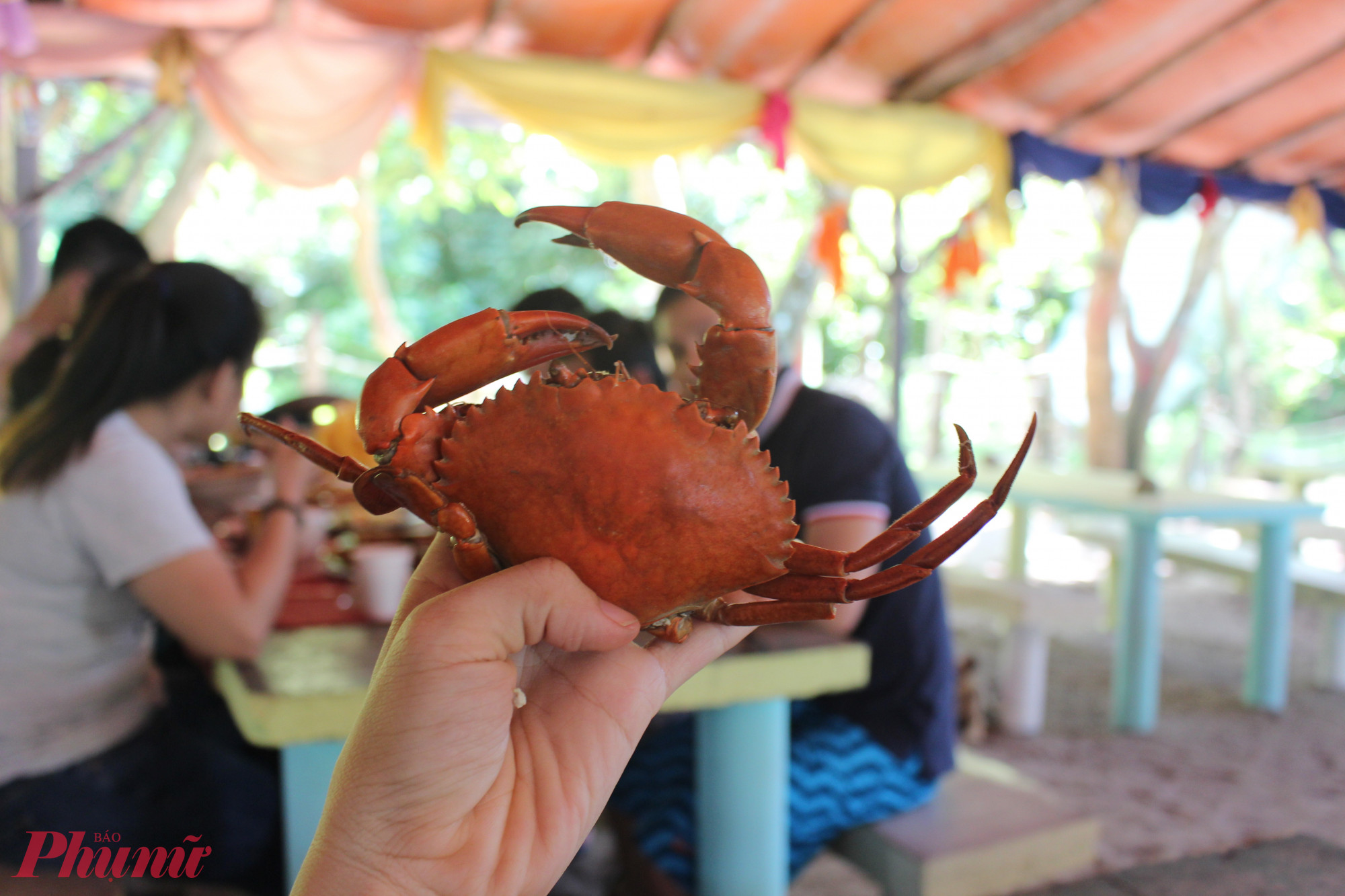 Khám phá ẩm thực: Ẩm thực tại đảo Langkawi khá phong phú. Bạn có thể thưởng thức ẩm thực Malaysia, Trung Hoa, Ấn Độ, Thái Lan và cả hải sản tươi sống. 