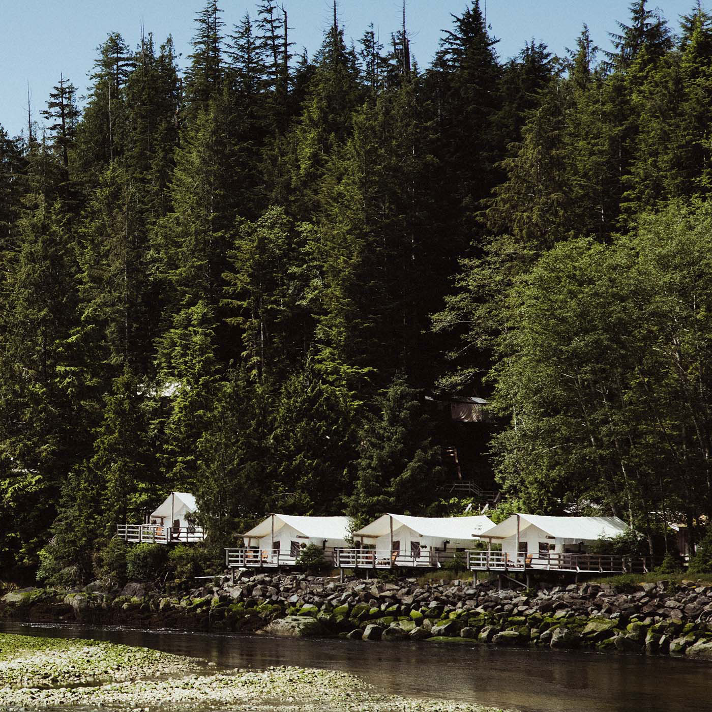 Ảnh: Clayoquot Wilderness Lodge