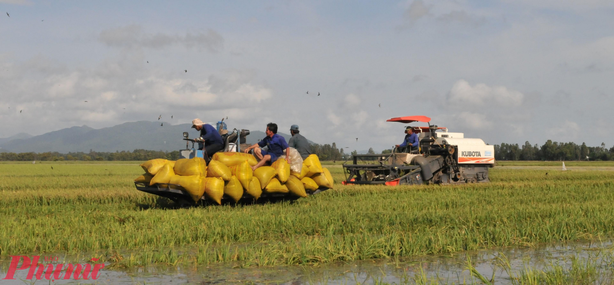 đẩy cao cường độ thâm canh, tăng vụ, sử dụng phân bón vô cơ chưa cân đối, chưa tuân thủ các quy trình canh tác tiên tiến đã làm mất cân bằng dinh dưỡng trong đất, làm ảnh hưởng đến các tính chất sinh học đất…