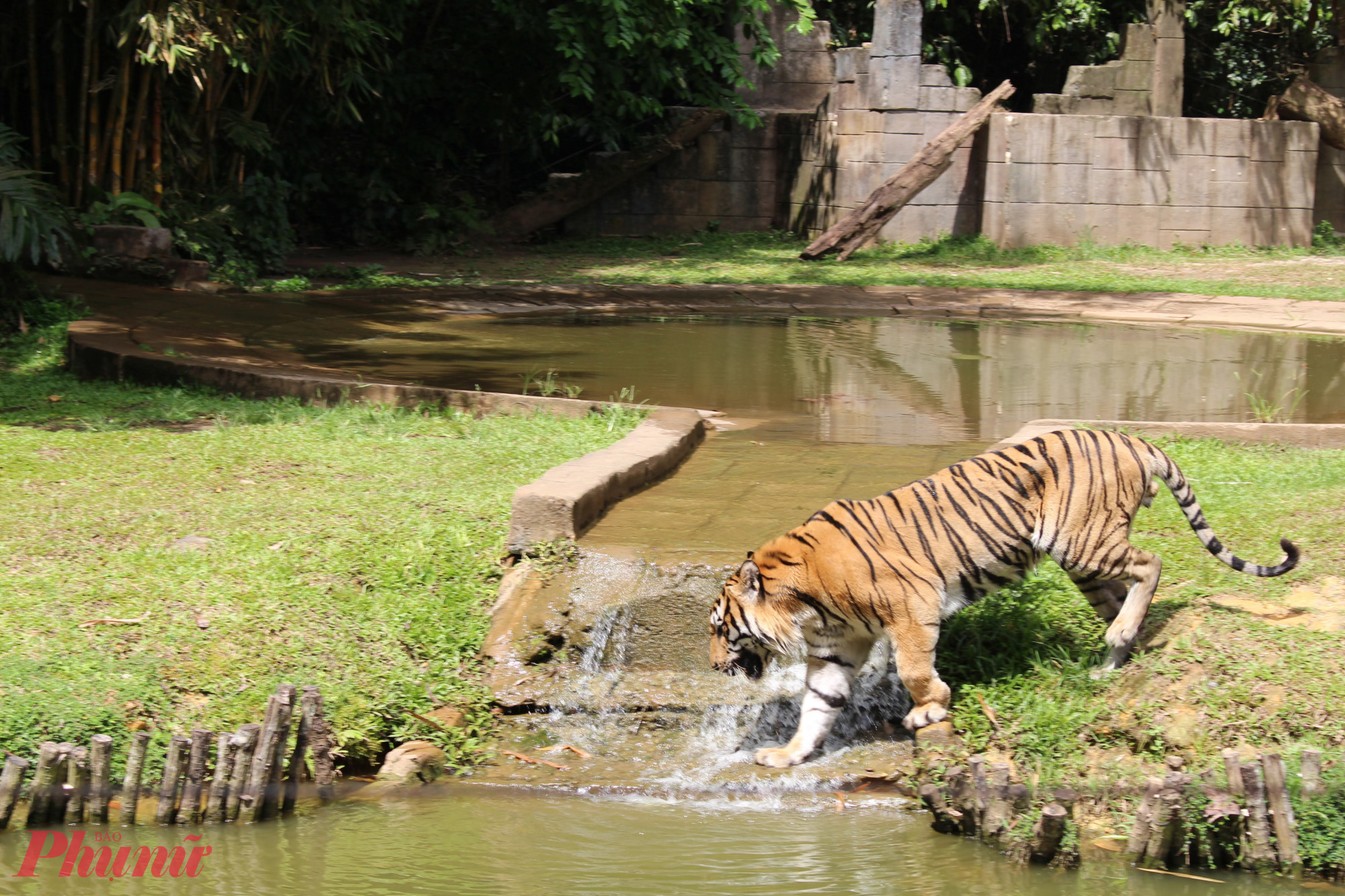 Công viên giải trí Lost World of Tambun Công viên giải trí Lost World of Tambun là một công viên giải trí nổi tiếng nằm trong khu vực Tambun được bao quanh bởi núi non và rừng xanh. Khu tổ hợp được khánh thành vào năm 2004, là một một điểm đến thu hút đông đảo lượt khách tham quan mỗi năm.  Công viên có nhiều hồ bơi và trò chơi dưới nước, lý tưởng cho gia đình và nhóm bạn tận hưởng những giây phút vui chơi và thư giãn. Du khách có thể khám phá văn hóa Malaysia thông qua các hoạt động: thăm quan nhà ngôi sao phim, khắc đá nghệ thuật, và các hoạt động biểu diễn văn hóa truyền thống khác.    Lost World of Tambun là điểm đến yêu thích của các bạn nhỏ.