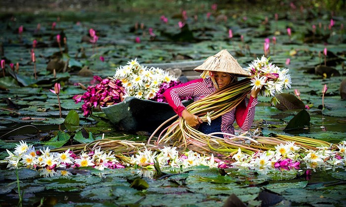 Ảnh mang tính minh họa - Internet