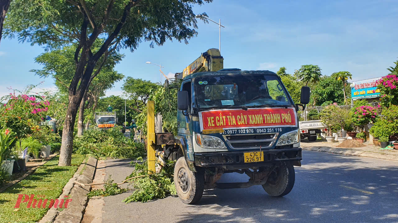 Hệ thống cây xanh ở Đà Nẵng không đẹp, xanh và có dấu ấn như các đô thị lân cận như Huế, Tam Kỳ.