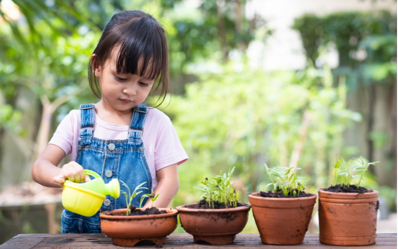 Dạy cho trẻ yêu thiên nhiên từ việc trồng cây, con sẽ biết trân quý hơn sức lao động mình (ảnh minh họa)