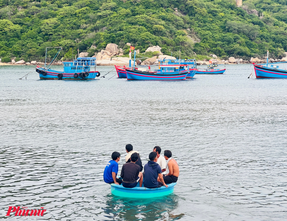 Những hình ảnh đời thường cảnh đánh bắt trên vịnh Vĩnh Hy; những người đàn ông lên thuyền thúng đi chuyển ra tàu cá đánh bắt tôm, cá.