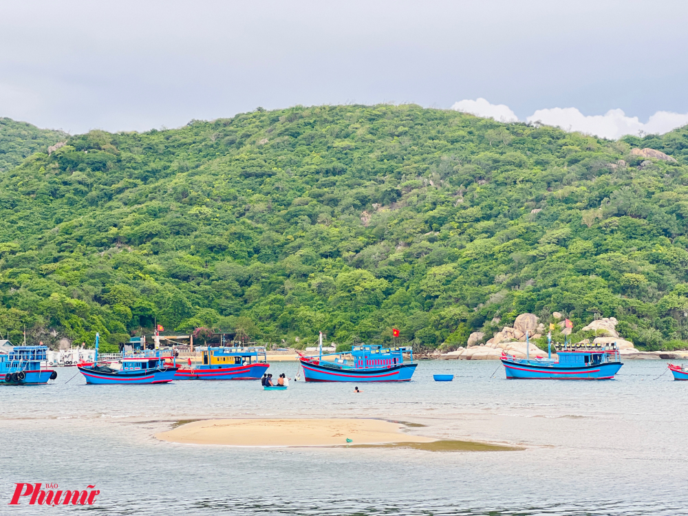 Đến Vĩnh Hy vào giờ chiều tại các bến cảng, du khách sẽ có dịp bắt gặp những đoàn tàu chuẩn bị ra khơi đánh bắt.