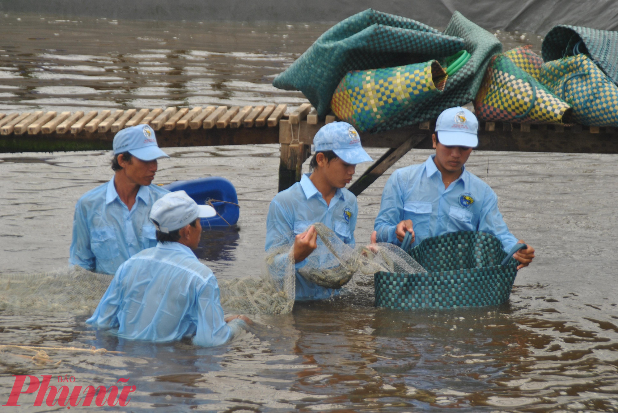 Xuất khẩu tôm năm 2024 ở Bạc Liêu đạt hơn 1,1 tỉ USD