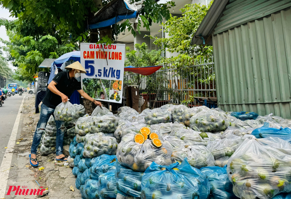 Theo người bán thời điểm hiện tại đang vào mùa cam sành, 