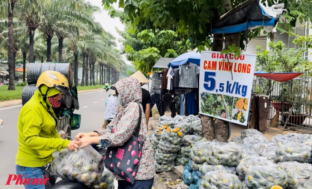 Người dân mua cam giải cứu giá 50.000 đồng/túi 10kg. 