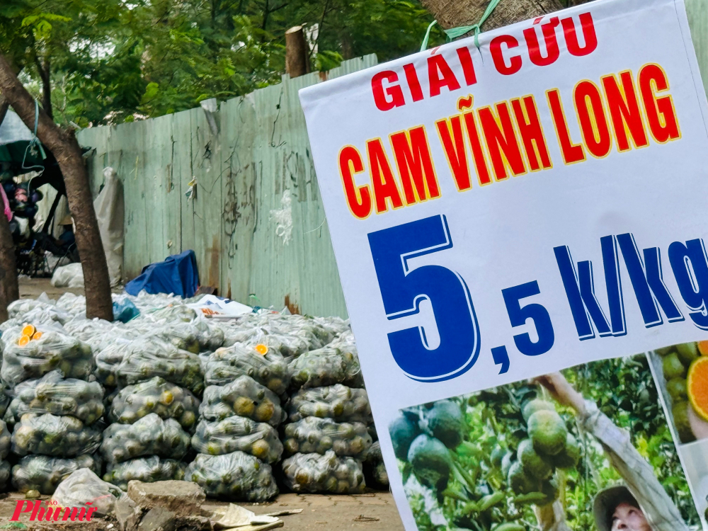 Nhiều ngày nay, các tuyến đường vùng ven TPHCM như Nhà Bè, Bình Chánh,... tiểu thương, nhà vườn đổ cam sành Vĩnh Long với giá 5.000 đồng/kg, vào túi sẵn 10kg bán cho khách.