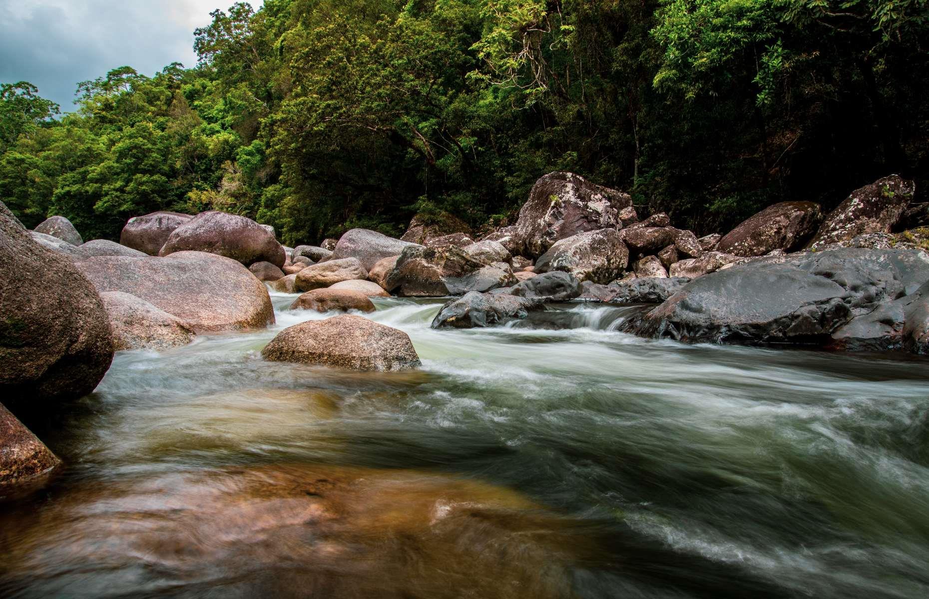 Hẻm núi Mossman, Queensland, Úc Rừng mưa Daintree – được nhà tự nhiên học được mọi người yêu thích, Ngài David Attenborough, gọi là nơi phi thường nhất trên Trái đất – đã phát triển trong hơn 180 triệu năm. Điều này khiến nơi đây trở thành rừng mưa nhiệt đới lâu đời nhất thế giới, chứa đầy những di tích thiên nhiên đáng kinh ngạc, động vật hoang dã phong phú và văn hóa dân gian của thổ dân. Hẻm núi Mossman, nơi Sông Mossman quanh co chia đôi khu rừng, đặc biệt đáng chú ý. Tại Trung tâm Văn hóa Hẻm núi Mossman, bạn có thể tìm hiểu thêm về những người bảo vệ truyền thống của khu vực, người Kuku Yalanji. Tham gia Chuyến đi bộ Ngadiku Dreamtime có hướng dẫn viên để có phần giới thiệu sâu sắc hơn về nền văn hóa của họ.