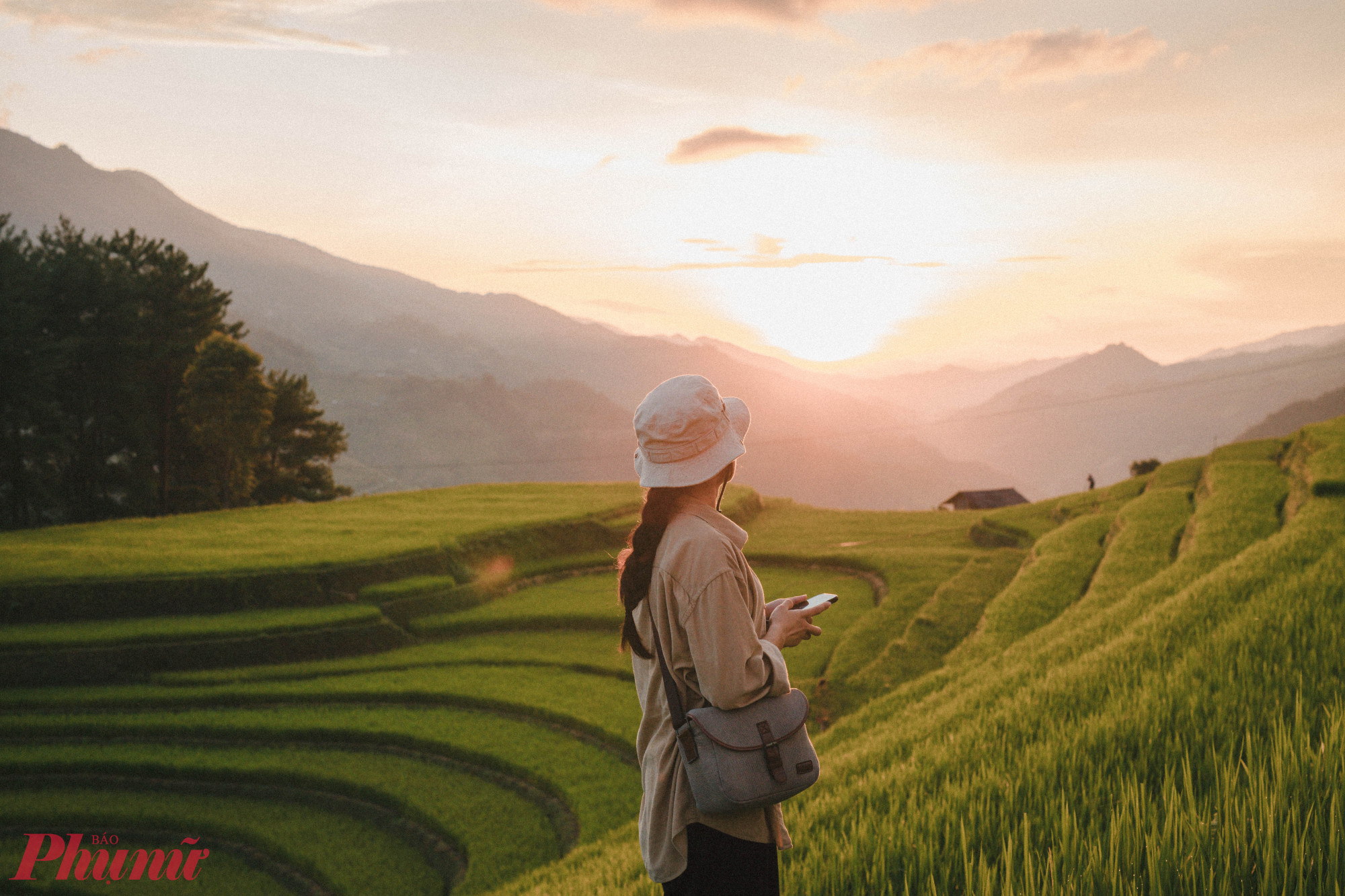 Đến Mù Căng Chải (Yên Bái) thời điểm này, bạn có thể tận hưởng mùi dịu ngọt của hương lúa mới, ngắm nhìn những thửa ruộng bậc thang uốn lượn đến tận chân trời, trĩu hạt, vàng óng, như xua tan đi cái nắng gay gắt của mặt trời chiếu rọi, nhìn ngắm cảnh bà con dân bản nô nức, vui tươi cùng nhau thu hoạch lúa gạo.