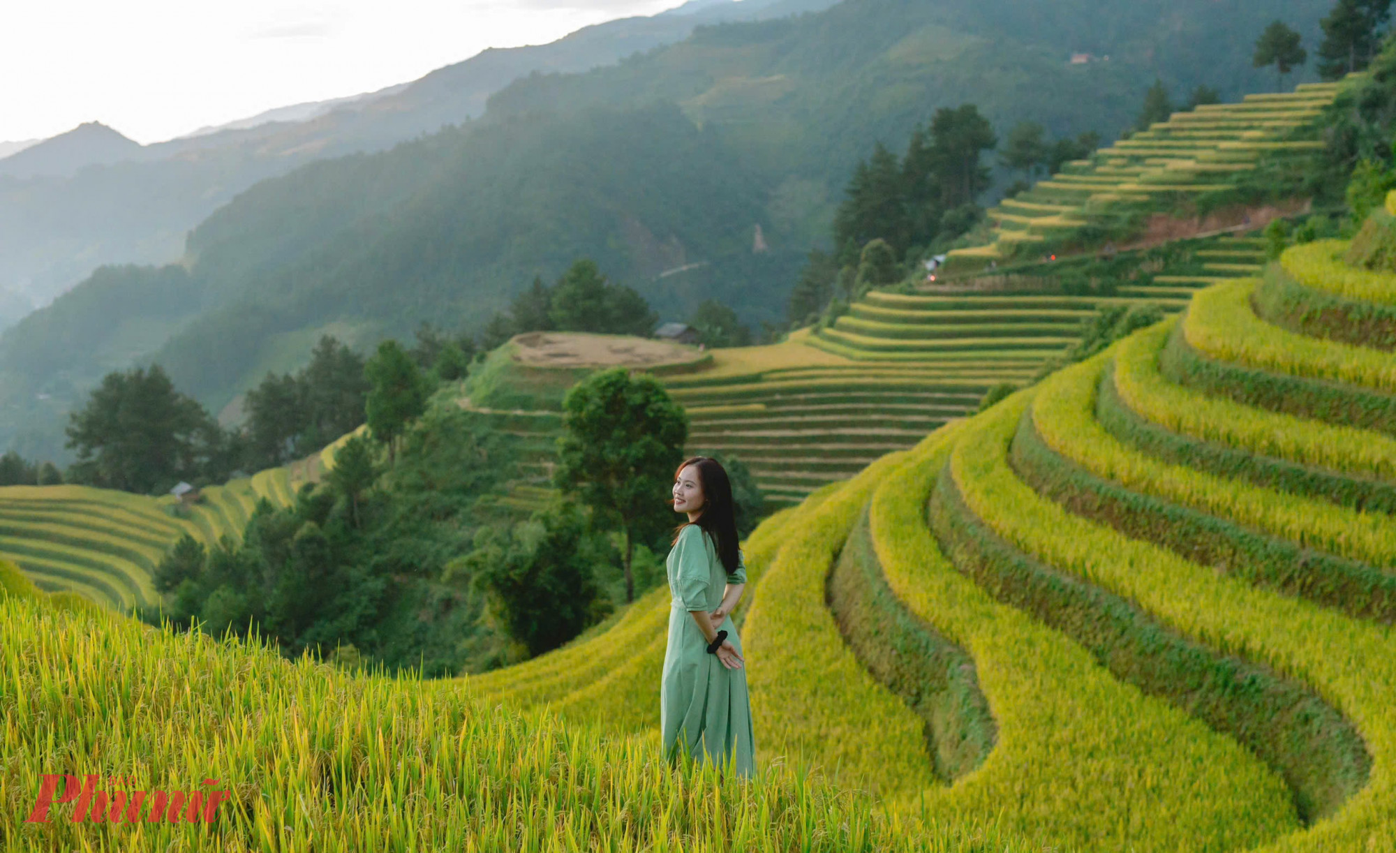      Ruộng bậc thang Mù Cang Chải đẹp và quyến rũ, trải dài theo triền núi, tạo cho nơi đây thành một khung cảnh mênh mông, kỳ vĩ, đắm say lòng du khách gần xa.