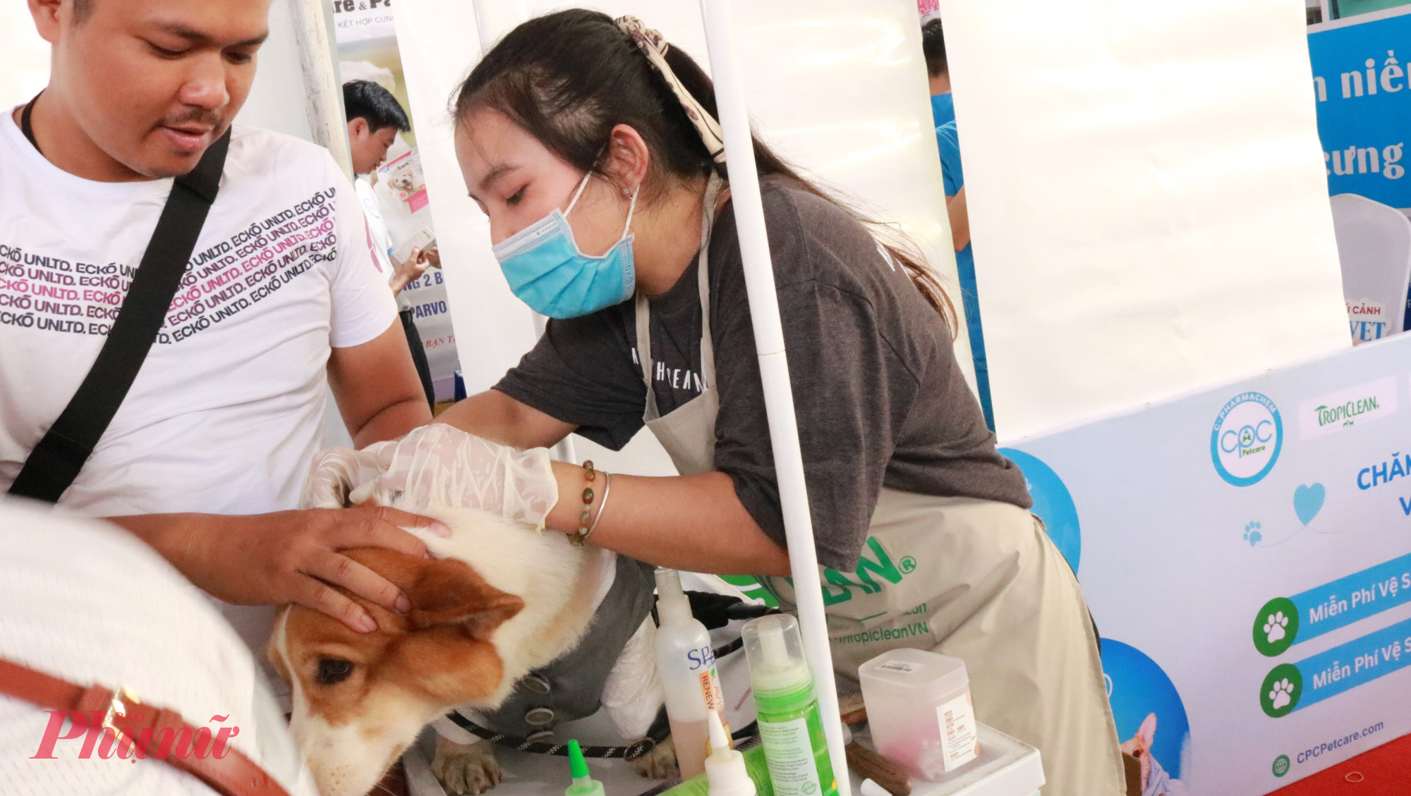 Thú cưng có thể được kiểm tra, chăm sóc tại ngày hội