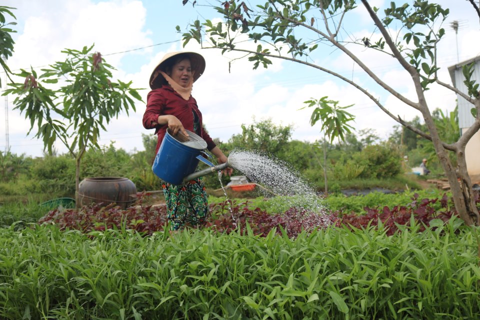 Sự bận rộn giúp phụ nữ vui sống hơn ( Ảnh minh họa)