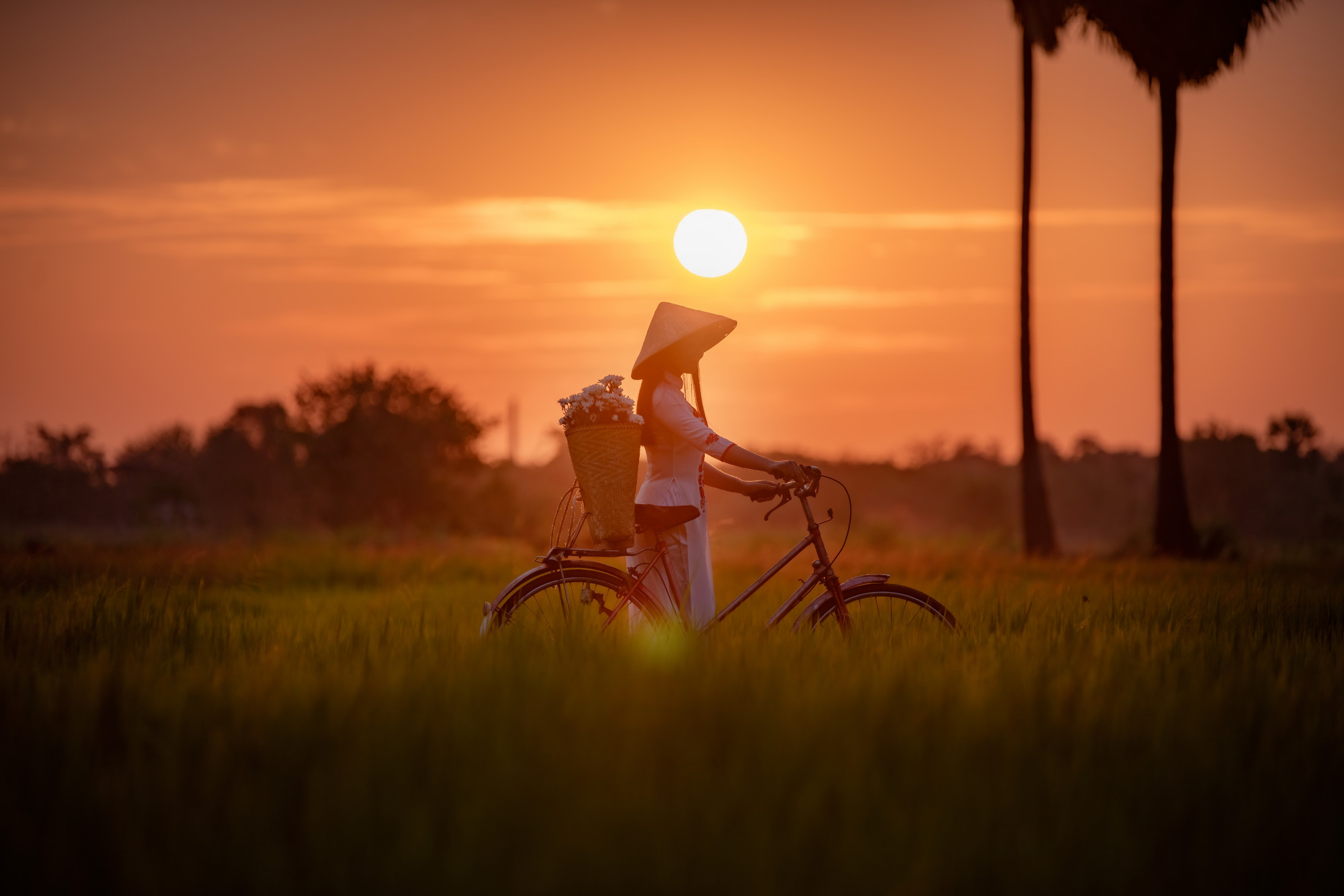 Ảnh mang tính minh họa - Shutterstock