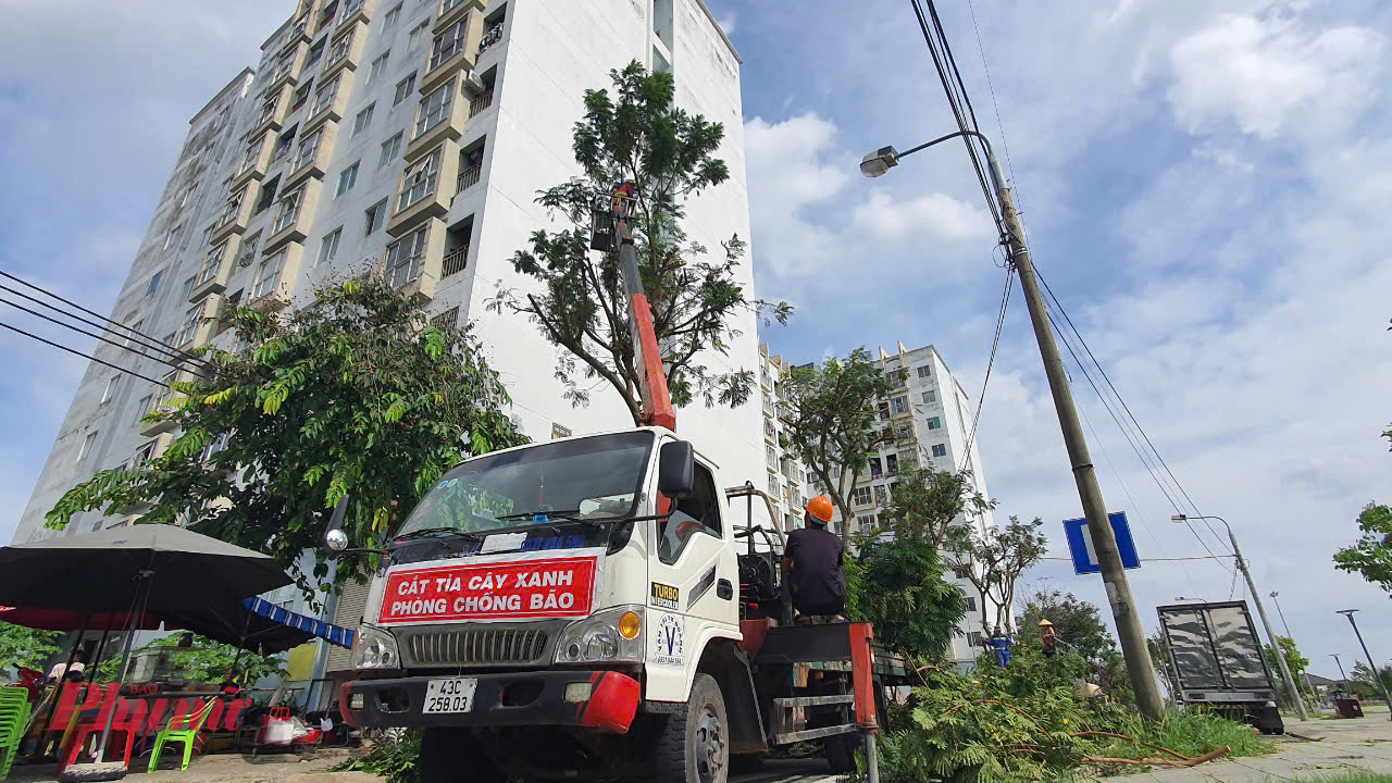 Các đơn vị, địa phương ở Đà Nẵng đang tăng cường máy móc và nhân lực để cắt tỉa cây xanh trước khi bão vào