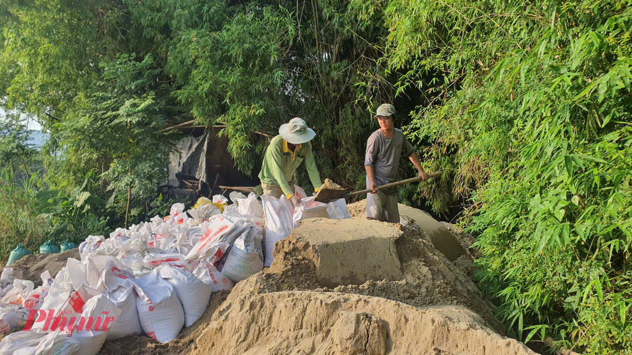 Đơn vị thi công đổ bao cát xuống bờ sông nhằm gia cố tạm ứng phó với đợt mưa lũ sắp tới