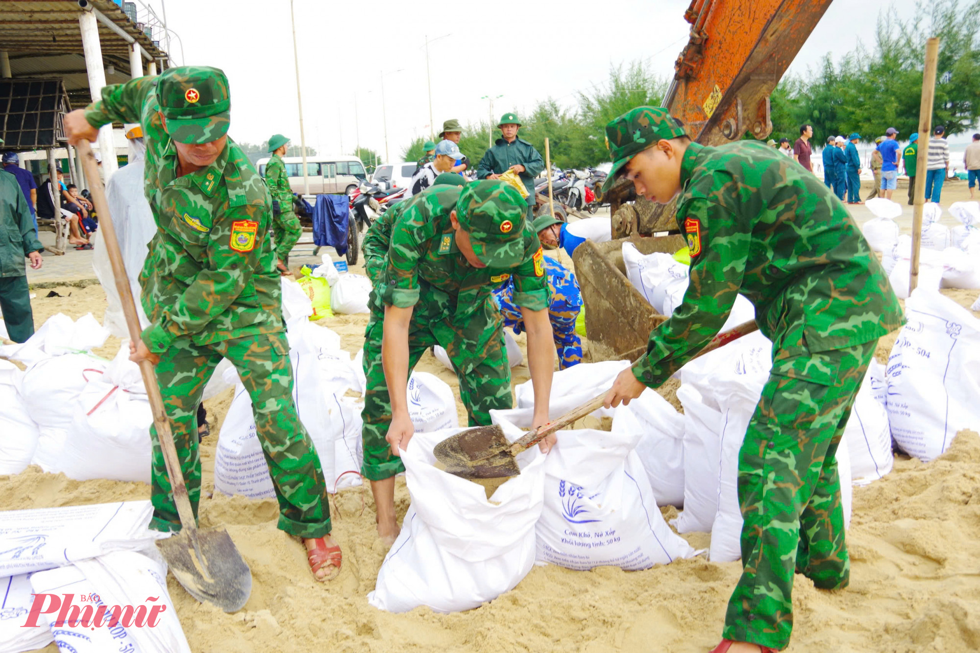 Tỉnh Thừa Thiên Huế đang huy động mọi lực lượng để gia cố bờ biển Phú Thuận- Thuận An đang sạt lở nghiêm trọng