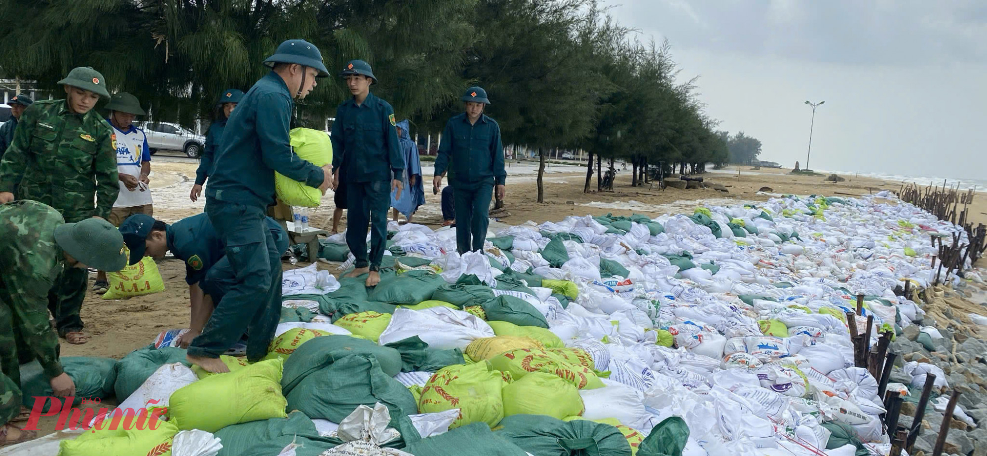 Lực lượng vũ trang tỉnh nổ lực gia cố khu vực sạt lởkhu vực bãi biến xã Phú Thuận