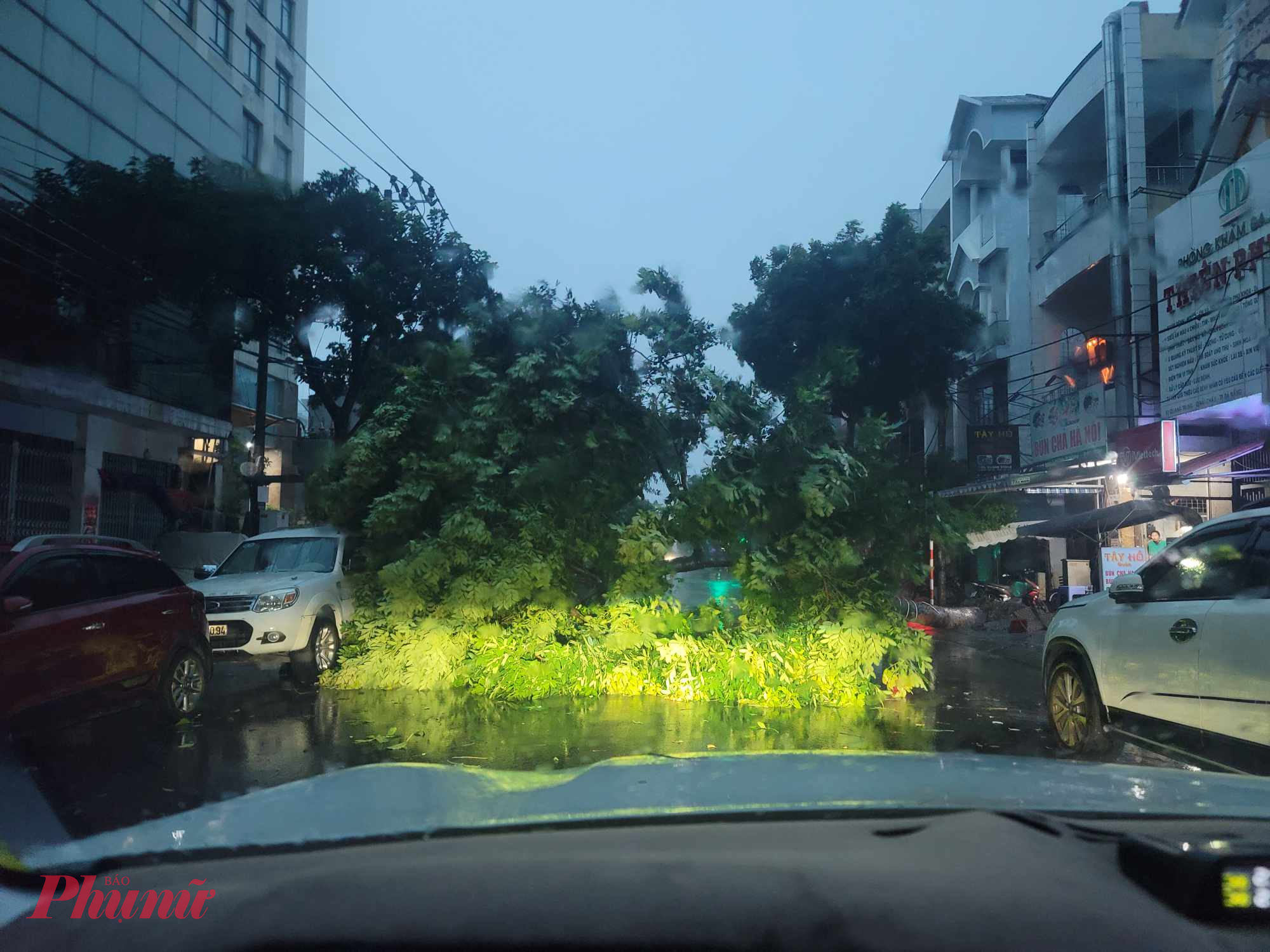 Cây trên đường Quang Trung, quận Hải Châu ngã đổ vào sáng sớm nay