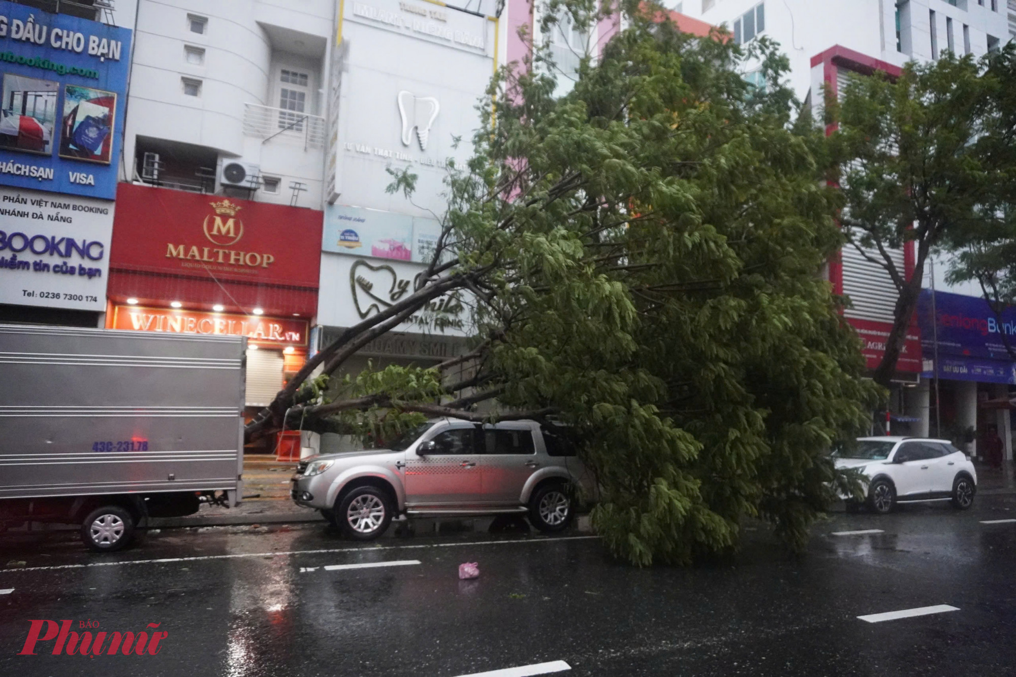 Cây lớn đổ đè lên xe ô tô người dân