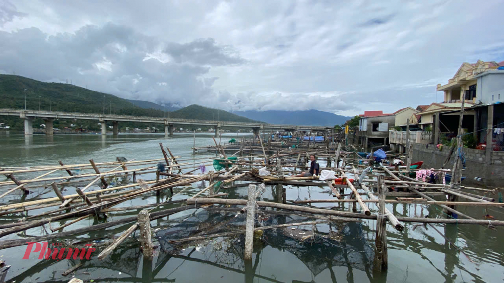 Khi chúng tôi đến, người nuôi cá lồng ở Tổ dân phố An Cư Đông 2 (thị trấn Lăng Cô) đang ra sức thu dọn rác, sửa sang lại lồng bè. Ánh mắt ai cũng u buồn vì khối tài sản chăm nuôi hơn 10 tháng trời bỗng chốc tiêu tan chỉ sau 1 đêm.