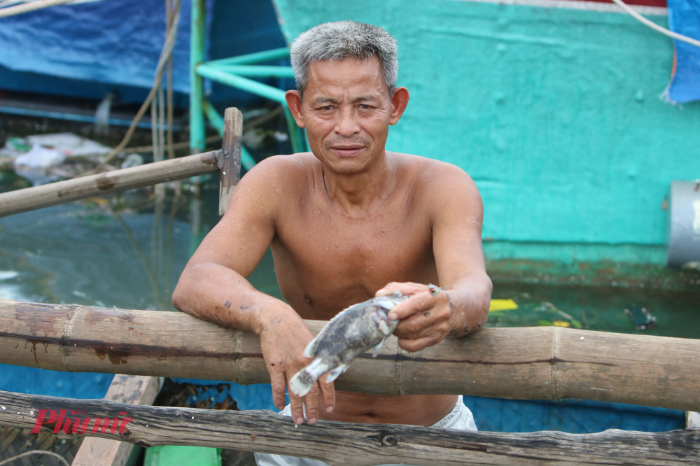 Ông Lê Văn Thọ (trú Tổ dân phố An Cư Đông 2, thị Trấn Lăng Cô), cho biết khu vực cửa biển Lăng Cô và đầm Lập An có hàng nghìn hộ dân nuôi cá lồng, với các loại cá đặc sản, giá trị thương phẩm cao, như: cá chim trắng, chim hồng, vược, mú, bớp,…