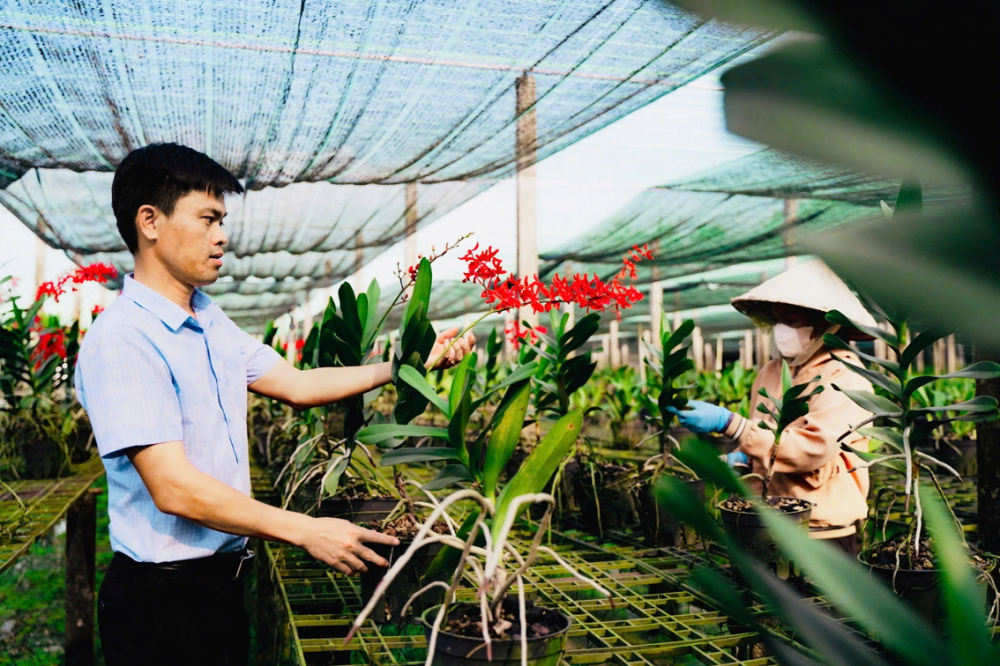 Anh Nguyễn Hoàng Duy Lưu có nhiều sáng kiến giúp nông dân phát triển