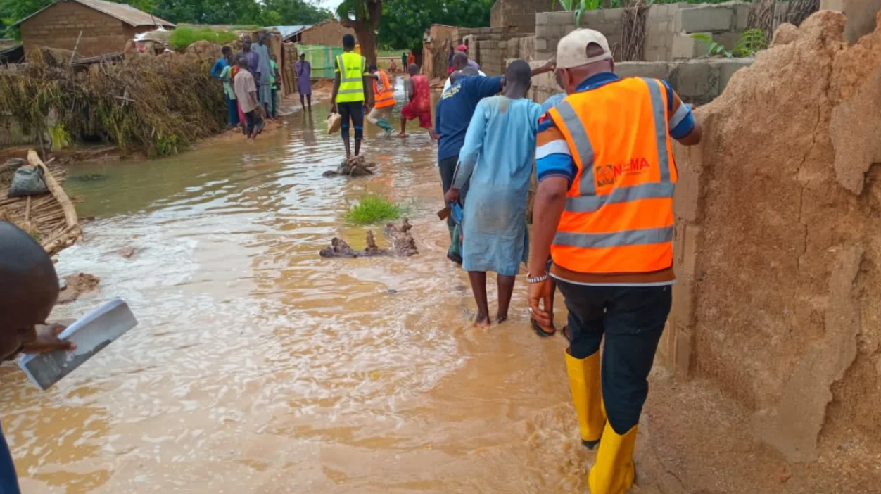 ũ lụt tàn phá ở phía bắc bang Jigawa, Nigeria - Ảnh: NEMA Nigeria