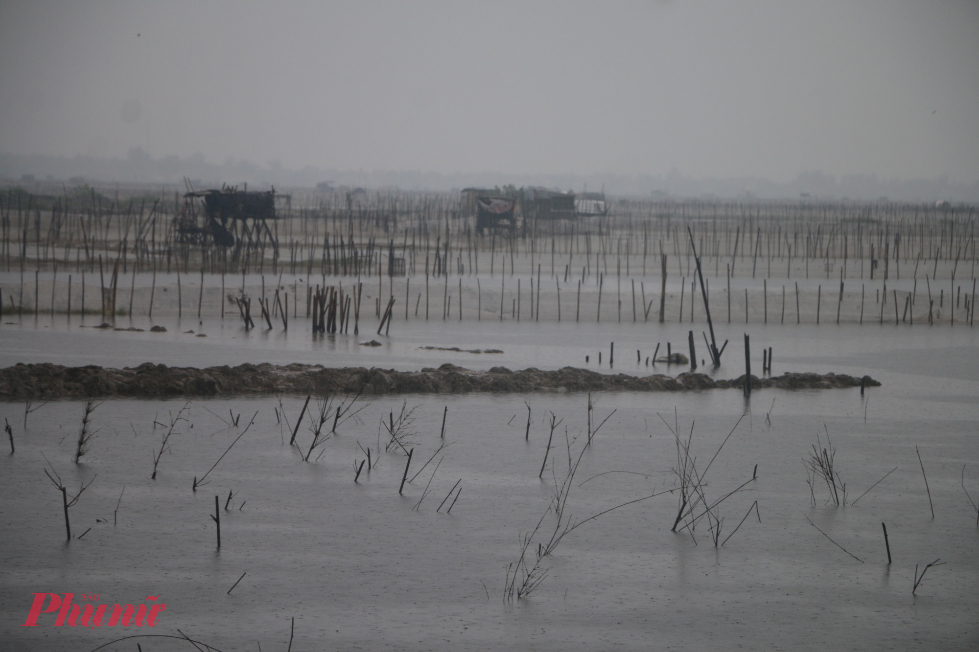 Nhiều vùng thấp trũng tại huyện Phsu Vang ( Thừa Thiên Huế) đã ngập lụt