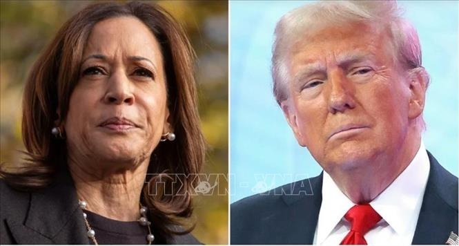 Phó Tổng thống Mỹ Kamala Harris, ứng viên của đảng Dân chủ (trái) và cựu Tổng thống Donald Trump, ứng viên của đảng Cộng hòa. Ảnh: AP/TTXVN