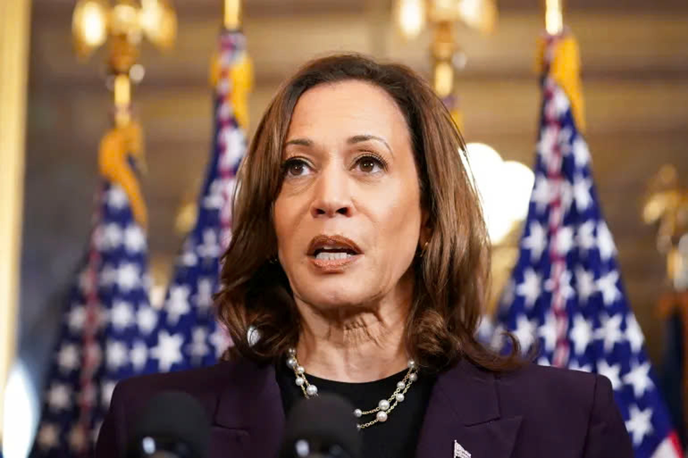 Phó tổng thống Kamala Harris thừa nhận thất bại trong cuộc chạy đua vào Nhà Trắng và cam kết chuyển giao quyền lực một cách hòa bình - Nguồn ảnh: Aljazeera