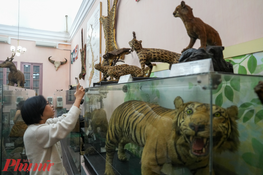 Hiện nay Bảo tàng Sinh học lưu trữ, bảo tồn hàng trăm nghìn vật mẫu động vật, thực vật của Việt Nam sưu tầm từ cuối thế kỷ 19 đến nay, trong đó có cả vật mẫu của các vùng địa lý khác nhau trên thế giới do nguyên thủ quốc gia, các nhà khoa học và các bảo tàng nước ngoài tặng.