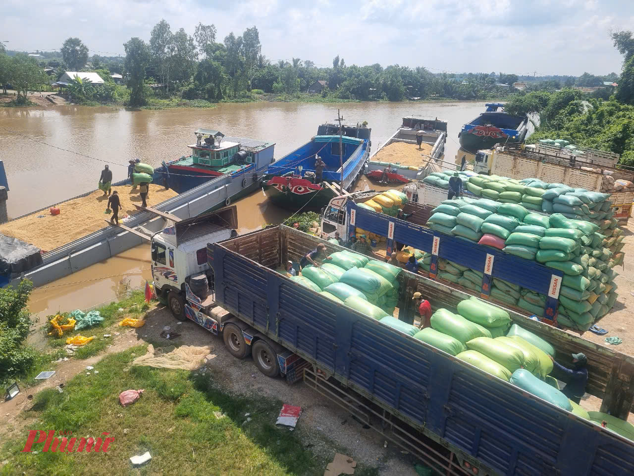 Chợ lúa gạo tự phát ở chân cầu Giang Thành bị đình chỉ sau khi Thanh tra Sở GTVT Kiên Giang kiểm tra