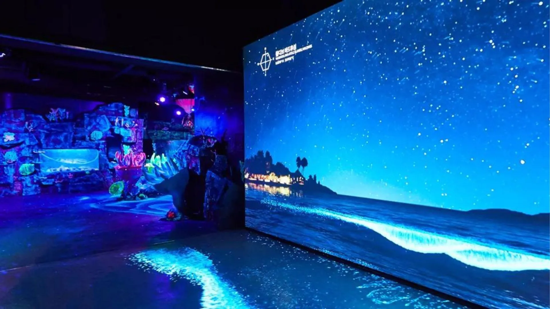 gạc nhiên trước cuộc sống dưới biển tuyệt đẹp tại Sea Life Busan Sea Life, Busan | Tín dụng hình ảnh: visitsealife Một trong những địa điểm du lịch phổ biến nhất ở Busan để dành cả ngày nếu thời tiết không như ý, Thủy cung Sea Life Busan là nơi có nhiều trải nghiệm nhập vai. Du khách có thể thích thú khi trở thành một phần của đội cứu hộ rùa biển chăm sóc những chú rùa bị bệnh và bị thương cho đến khi chúng đủ khỏe để trở lại biển. Hoặc tìm hiểu thêm về đời sống và hệ sinh thái biển sâu tại khu vực Biển về đêm. Bên cạnh đó, du khách có thể thưởng thức các buổi biểu diễn dưới nước, các loài sinh vật biển địa phương và kỳ lạ, các buổi cho chim cánh cụt ăn và thậm chí là tham gia các buổi cho cá mập ăn đầy thú vị.  Giờ mở cửa: 10 giờ sáng đến 7 giờ tối từ Thứ Hai đến Thứ Sáu và 10 giờ sáng đến 8 giờ tối từ Thứ Bảy đến Chủ Nhật  Vé: Bắt đầu từ 18.000 KRW (102 HKD)