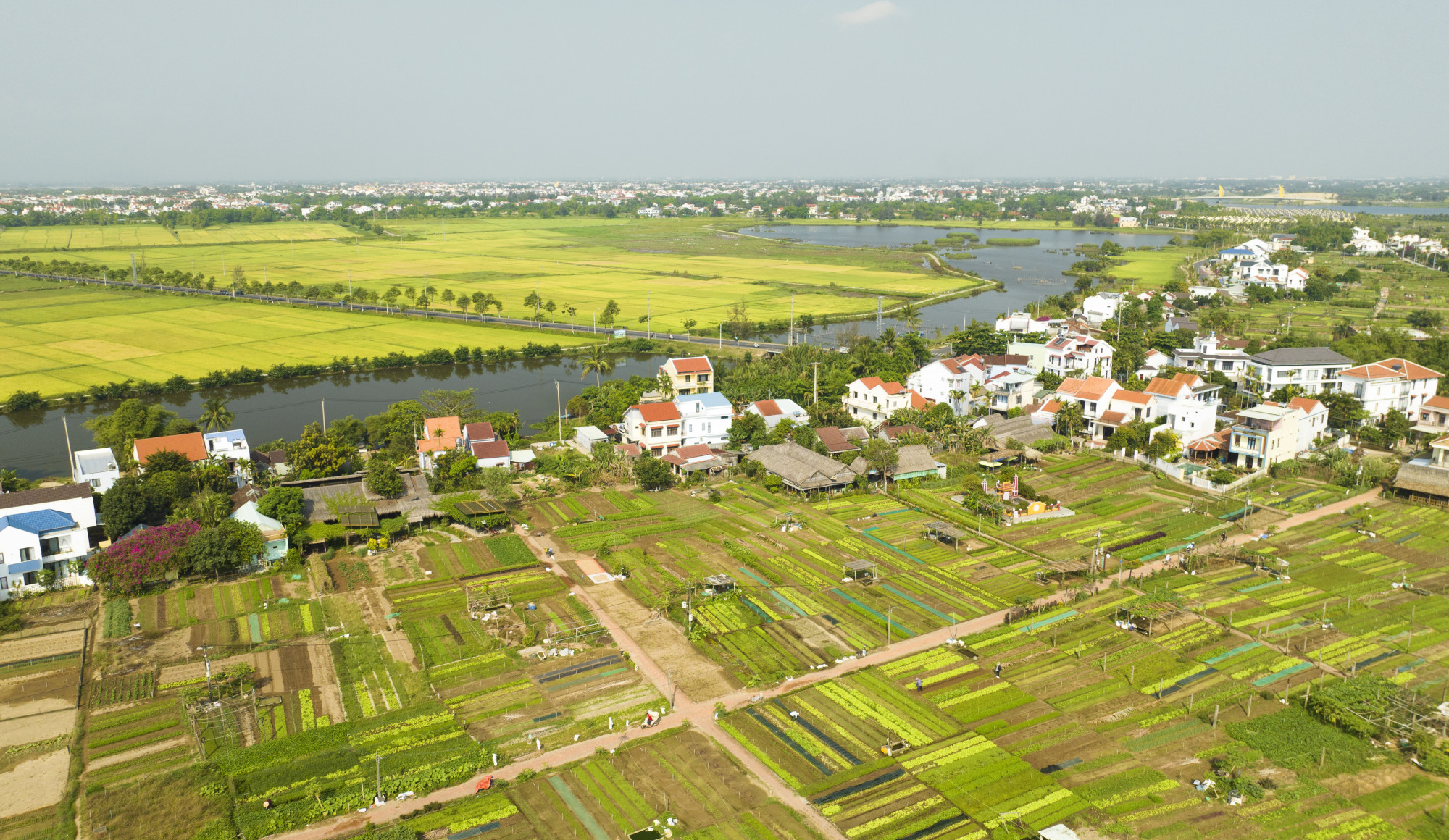 Toàn cảnh Làng rau Trà Quế, Hội An