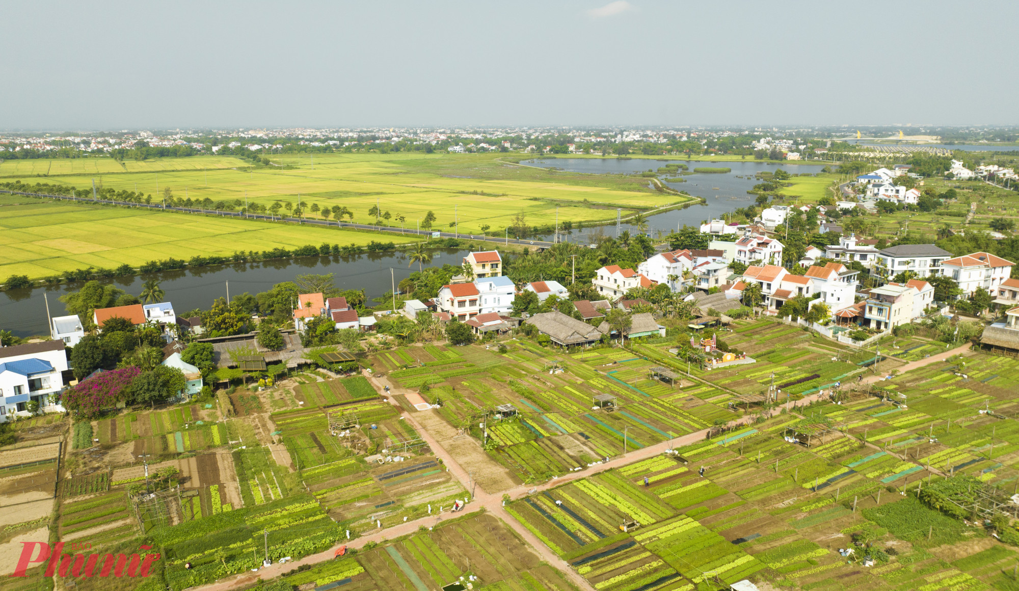 Làng rau Trà Quế được hình thành từ thế kỷ XVI, nằm cách khu phố cổ Hội An 3km về hướng Đông Bắc.