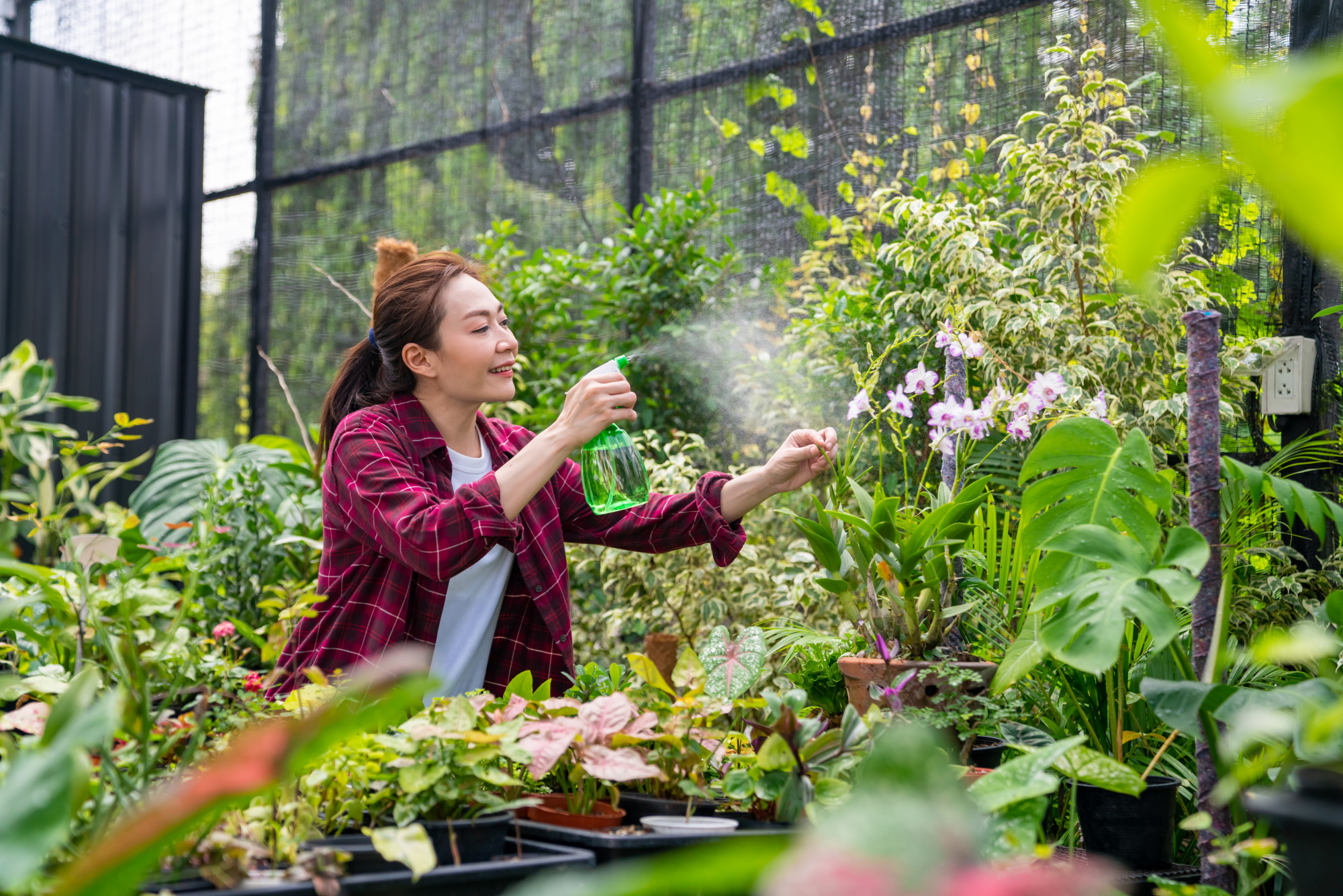 Ảnh mang tính minh họa - Shutterstock