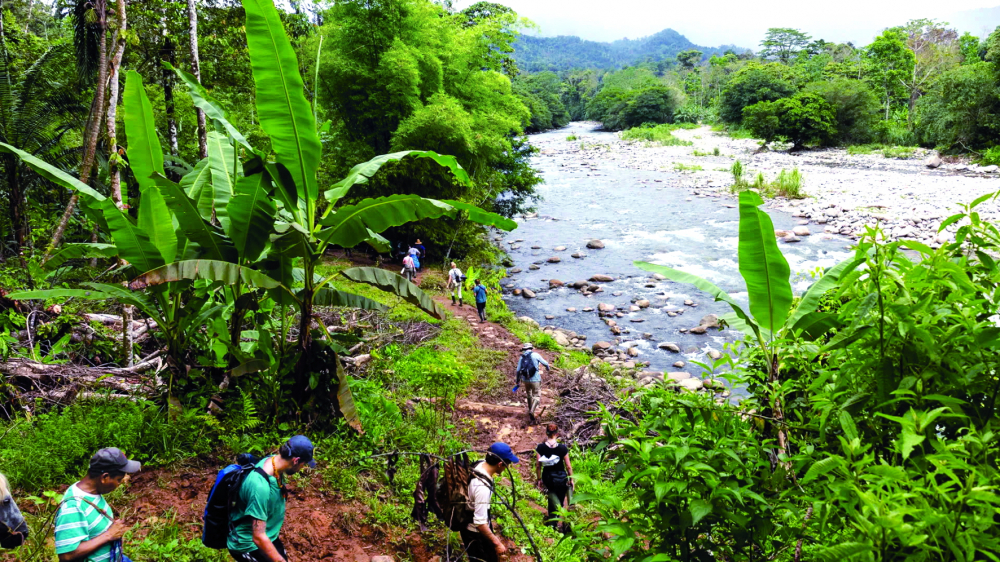 Các tình nguyện viên của Floating Doctors đi bộ qua rừng nhiệt đới Panama trên đường đến làng La Sabana